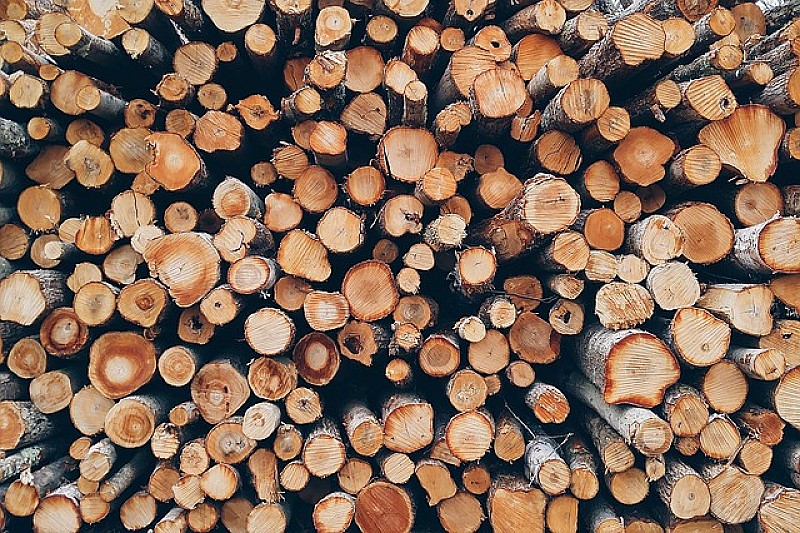 wood-g6fa69a0fc_640